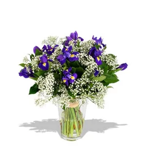 Лунная мелодия